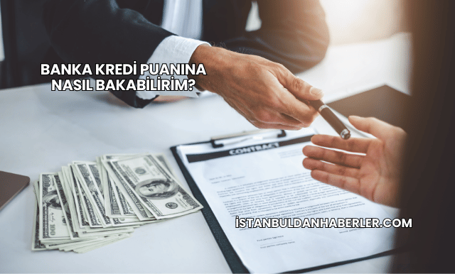 Banka Kredi Puanına Nasıl Bakabilirim?