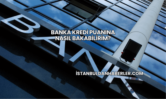 Banka Kredi Puanına Nasıl Bakabilirim?