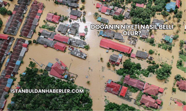 Doğanın Niyeti Nasıl Belli Olur?