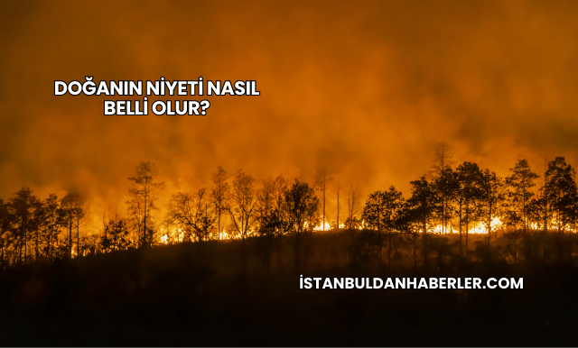 Doğanın Niyeti Nasıl Belli Olur?