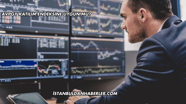 AVPGY Katılım Endeksine Uygun mu?