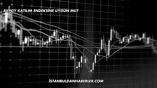 AVPGY Katılım Endeksine Uygun mu?