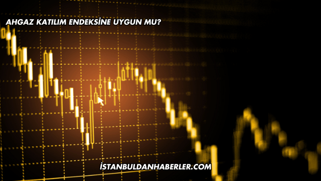 Ahgaz Katılım Endeksine Uygun mu?