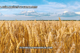 Arpa Ekim Maliyeti Ne Kadar 2025