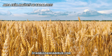 Arpa Ekim Maliyeti Ne Kadar 2025