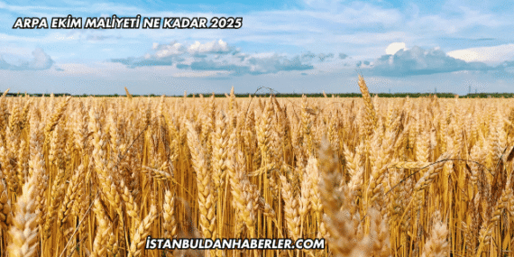 Arpa Ekim Maliyeti Ne Kadar 2025