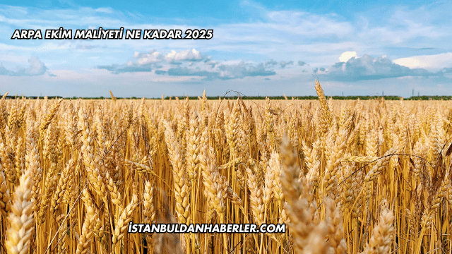 Arpa Ekim Maliyeti Ne Kadar 2025