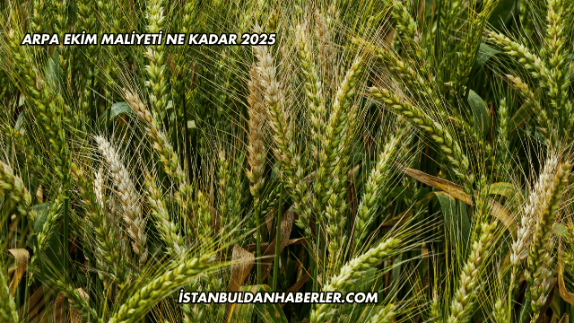 Arpa Ekim Maliyeti Ne Kadar 2025