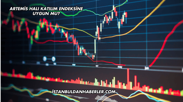 Artemis Halı Katılım Endeksine Uygun mu?