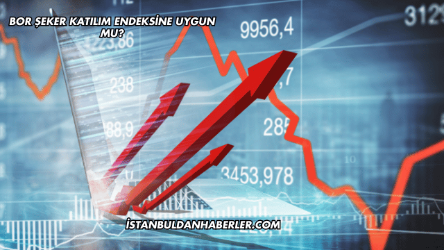 Bor Şeker Katılım Endeksine Uygun mu?