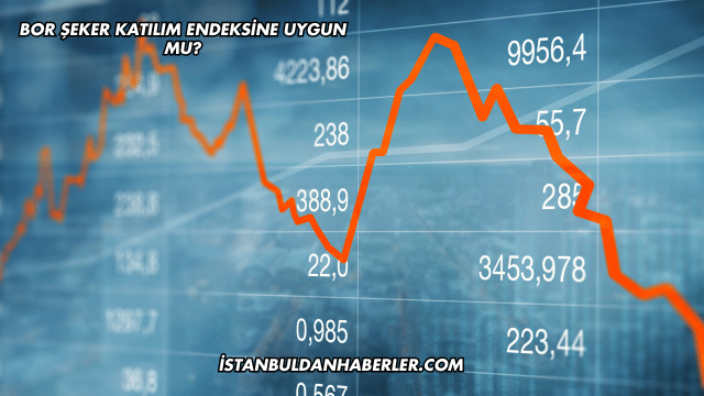 Bor Şeker Katılım Endeksine Uygun mu?