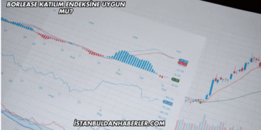 Borlease Katılım Endeksine Uygun mu?