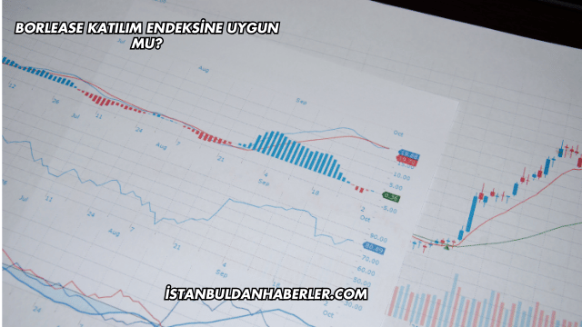 Borlease Katılım Endeksine Uygun mu?