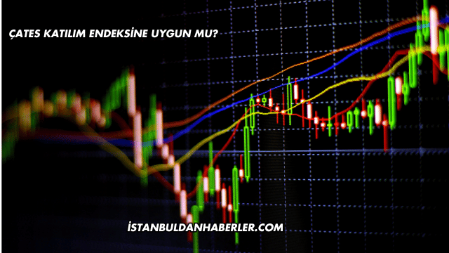 ÇATES Katılım Endeksine Uygun mu?