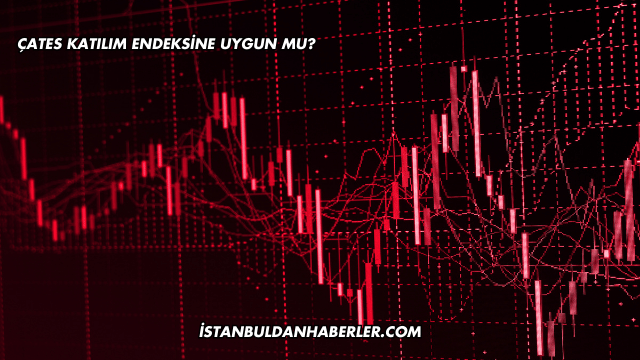 ÇATES Katılım Endeksine Uygun mu?