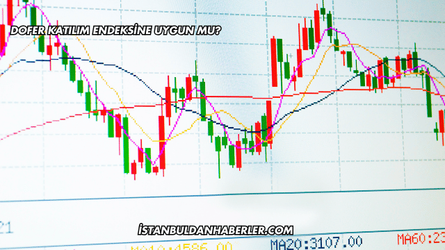 Dofer Katılım Endeksine Uygun mu?