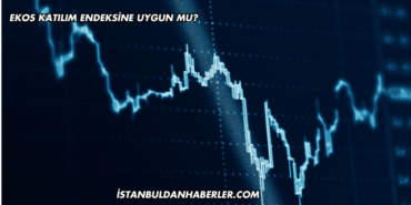 Ekos Katılım Endeksine Uygun mu?
