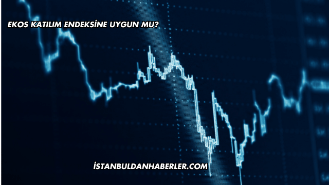 Ekos Katılım Endeksine Uygun mu?