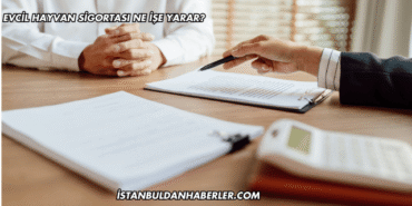 Evcil Hayvan Sigortası Ne İşe Yarar?