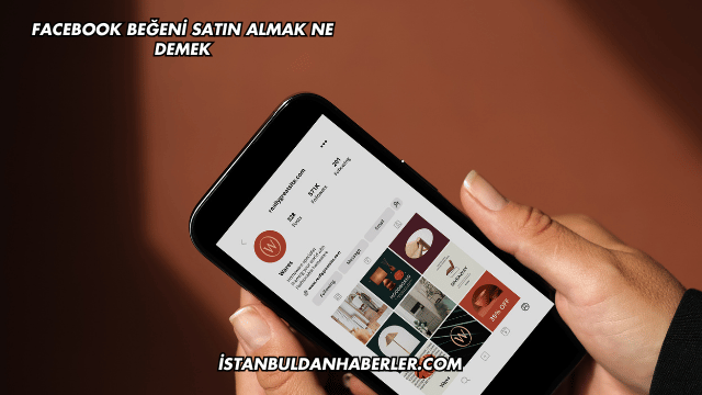 Facebook Beğeni Satın Almak Ne Demek