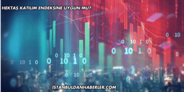 Hektaş Katılım Endeksine Uygun mu?