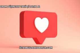 Instagram Düşmeyen Takipçi Satın Al