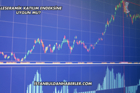 Kaleseramik Katılım Endeksine Uygun mu?