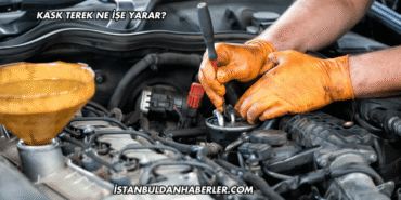 Kask Terek Ne İşe Yarar?
