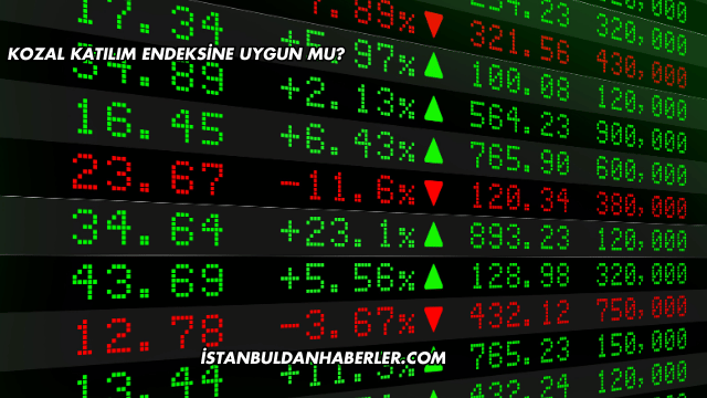 Kozal Katılım Endeksine Uygun mu?
