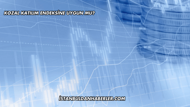 Kozal Katılım Endeksine Uygun mu?