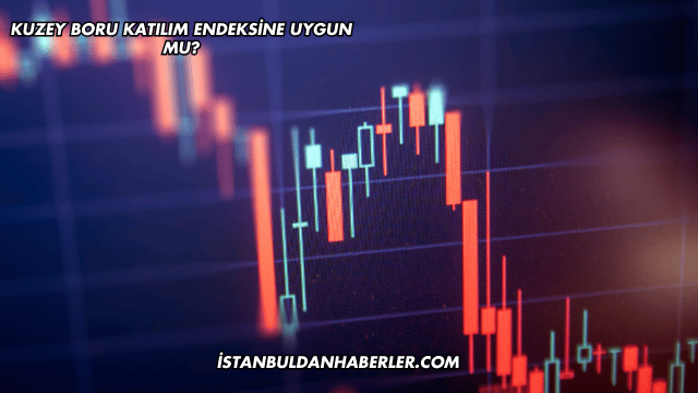 Kuzey Boru Katılım Endeksine Uygun mu?