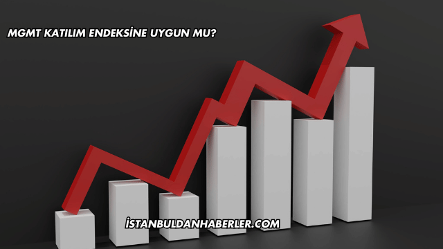 MGMT Katılım Endeksine Uygun mu?