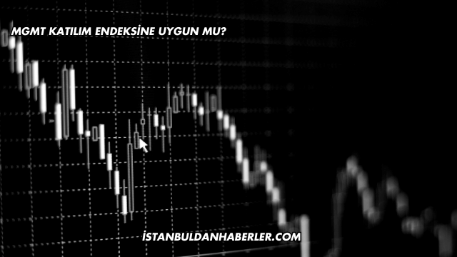 MGMT Katılım Endeksine Uygun mu?