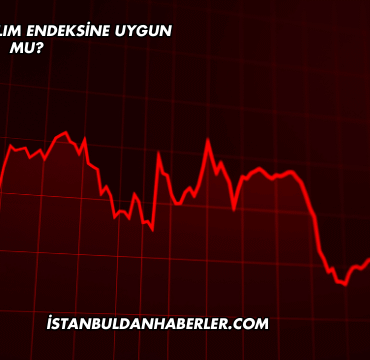 MHR GYO Katılım Endeksine Uygun mu?