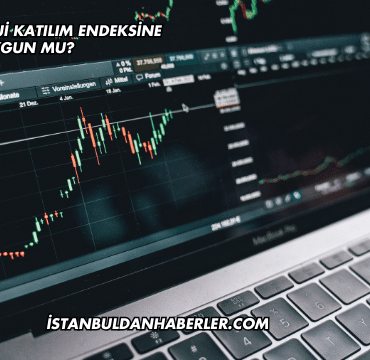 Mogan Enerji Katılım Endeksine Uygun mu?