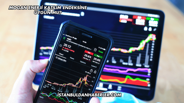 Mogan Enerji Katılım Endeksine Uygun mu?