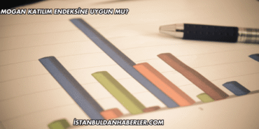 Mogan Katılım Endeksine Uygun mu?
