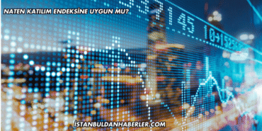 Naten Katılım Endeksine Uygun mu?