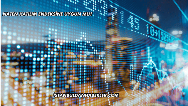 Naten Katılım Endeksine Uygun mu?