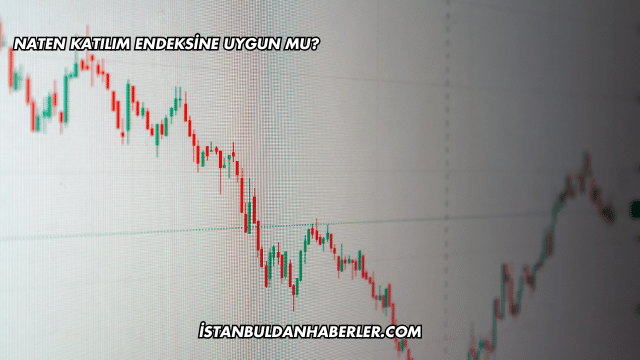Naten Katılım Endeksine Uygun mu?