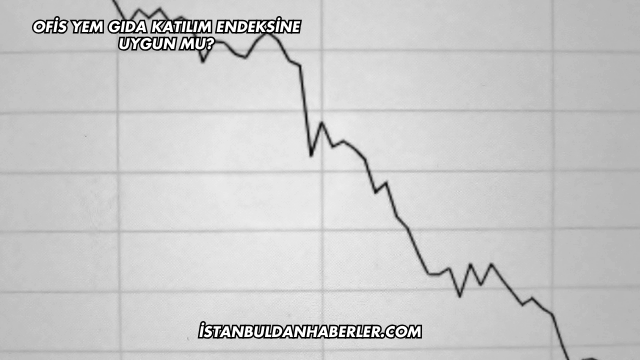 Ofis Yem Gıda Katılım Endeksine Uygun mu?