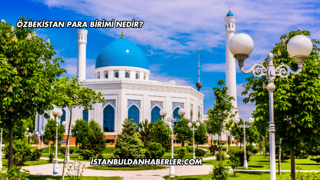 Özbekistan Para Birimi Nedir?