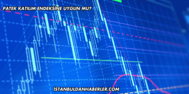 Patek Katılım Endeksine Uygun mu?