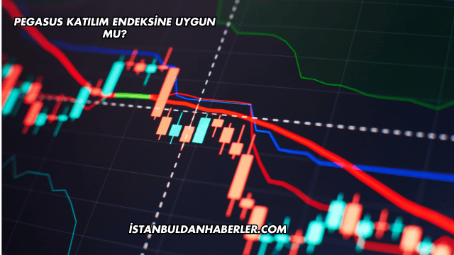 Pegasus Katılım Endeksine Uygun mu?