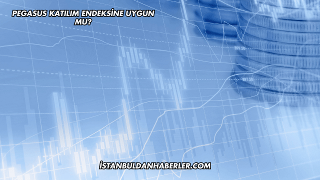 Pegasus Katılım Endeksine Uygun mu?