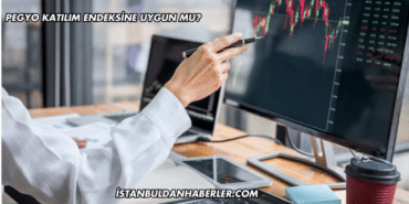 Pegyo Katılım Endeksine Uygun mu?