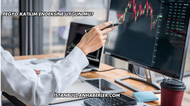 Pegyo Katılım Endeksine Uygun mu?
