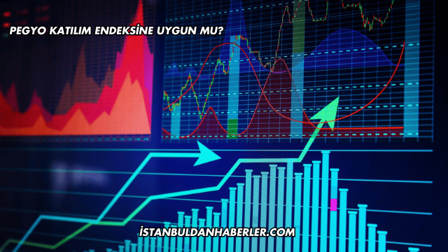 Pegyo Katılım Endeksine Uygun mu?