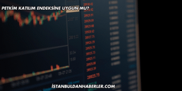 Petkim Katılım Endeksine Uygun mu?