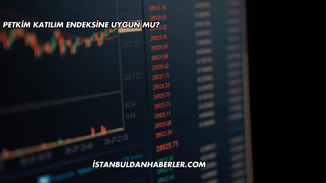 Petkim Katılım Endeksine Uygun mu?
